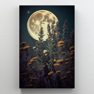 " Rosemary Blooming Under The Mooonlight "