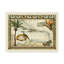 « tropical map of west inmeurts », reproduction d’impression sur toile tendue-33423149