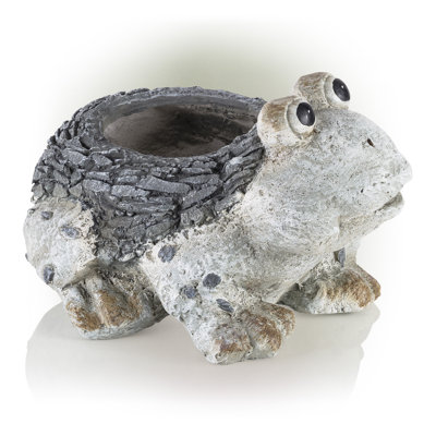 Pot de fleurs statue magnesia grenouille Willacoochee