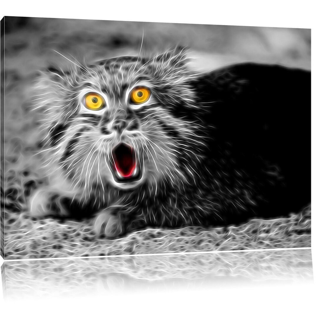 Leinwandbild Scheue Manul