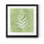 " Forest Ferns II -Premium Framed Print - Ready To Hang "-847573886-847573882-847519772