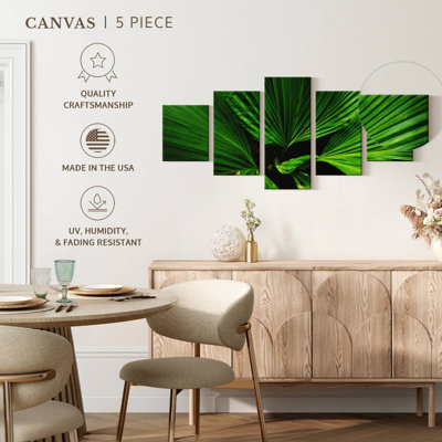 Feuilles de palmier Fan Like