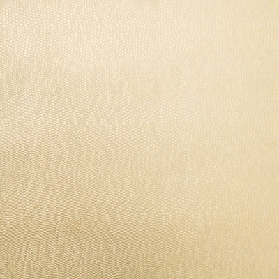 Tissu de colon