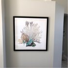 Highland Dunes Coral by Aimee Wilson Print & Reviews | Wayfair