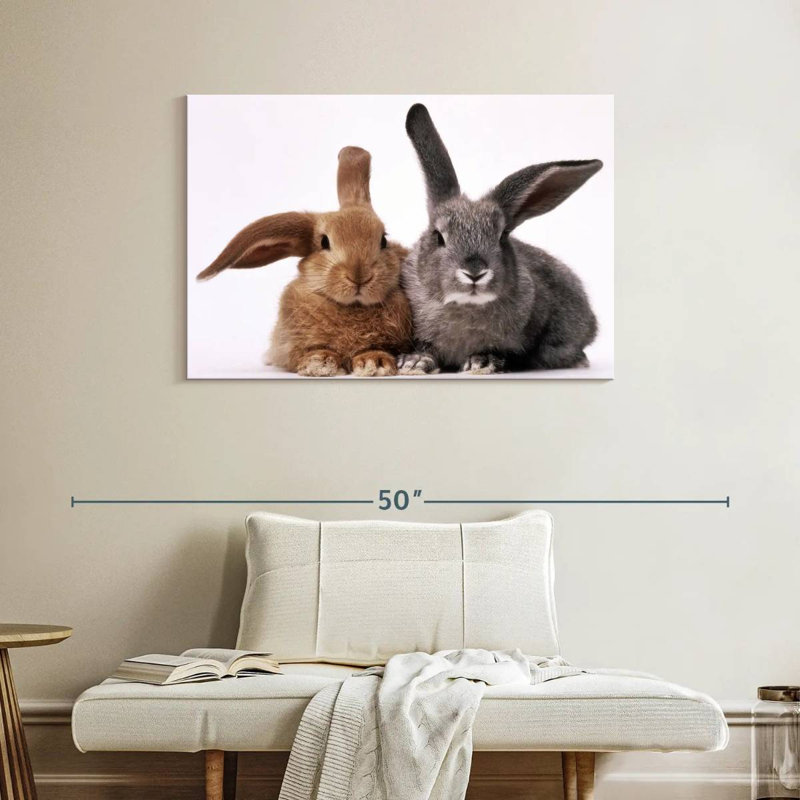 Lapins bruns et gris, H 26 po x l 39 po