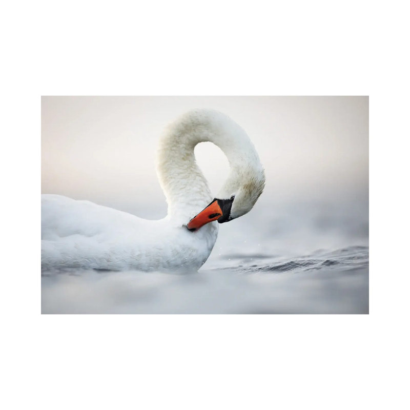 Reverie 1 Piece Wrapped Canvas Wall Art, 101.6 cm H x 66.04 cm W x 3.175 cm D