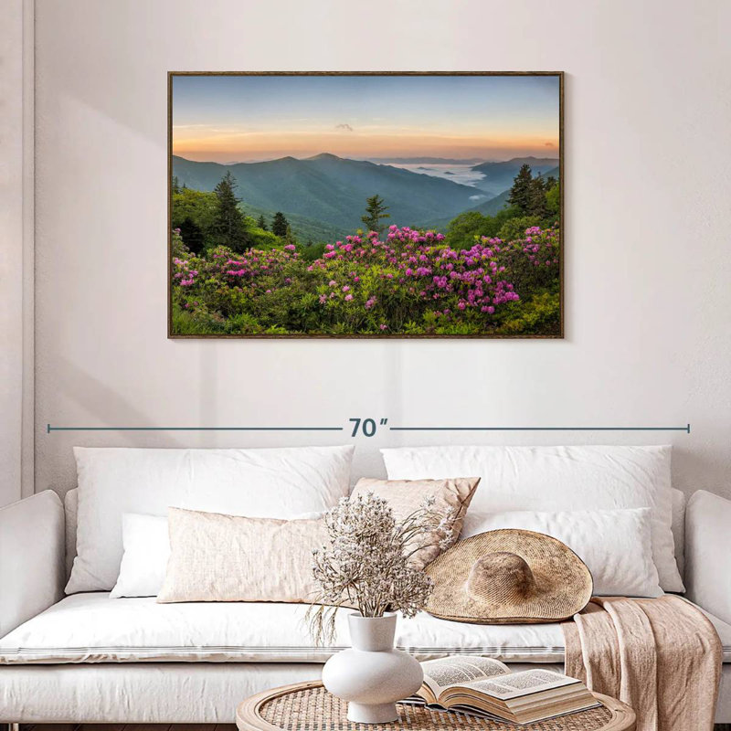 Blue Ridge Mountains View, Cadre flottant noyer, 43 po x 29 po