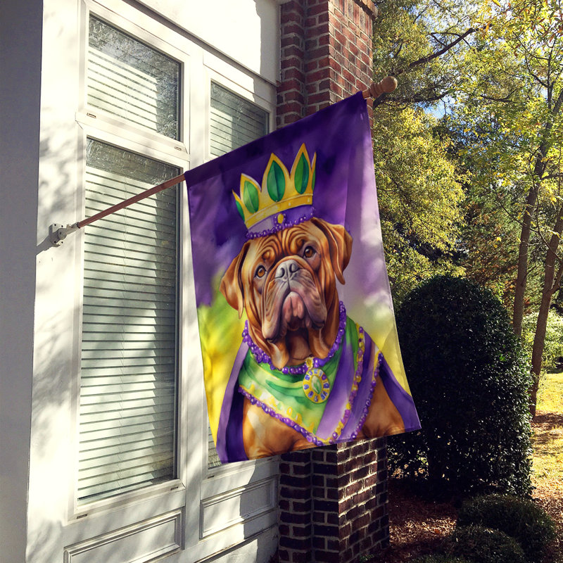 Double Sided 40'' H x 28'' W Polyester Mardi Gras House Flag