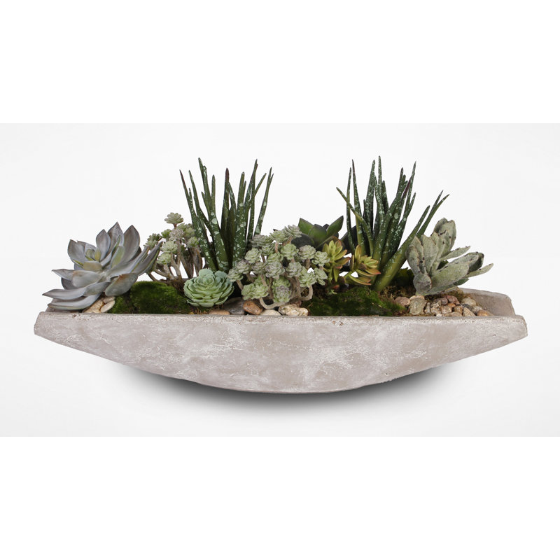 Faux Succulent Plant in Stone Planter