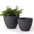Eldwun 2 Piece Resin Pot Planter, Indoor/Outdoor Garden Flower Pots-801690090-801690091