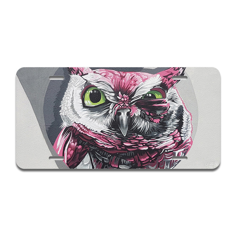 Cadre en aluminium hibou clin d'œil