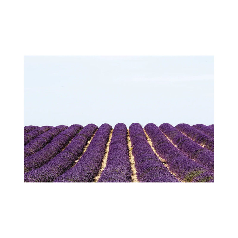 France Provence Lavande Field Pair I 1 Piece Wrapped Canvas Wall Art, 20.32 cm H x 30.48 cm W