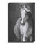 «White Horse» par White Ladder-235240122