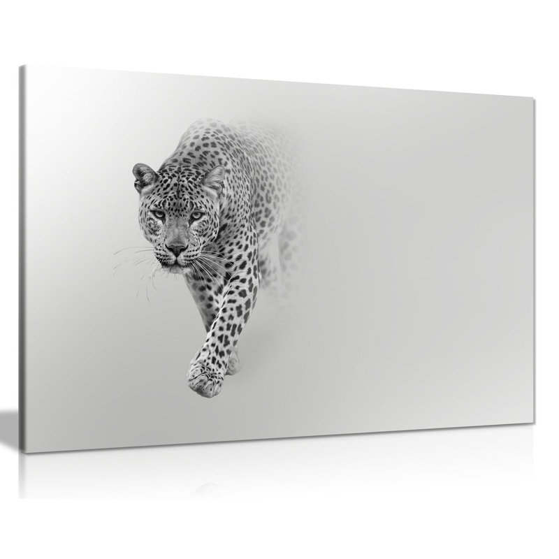 Leopard Wildlife - Wrapped Canvas Print, 51cm H x 76cm W