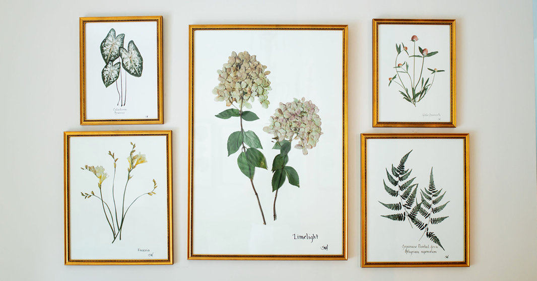 Nature’s Beauty, Artfully Preserved