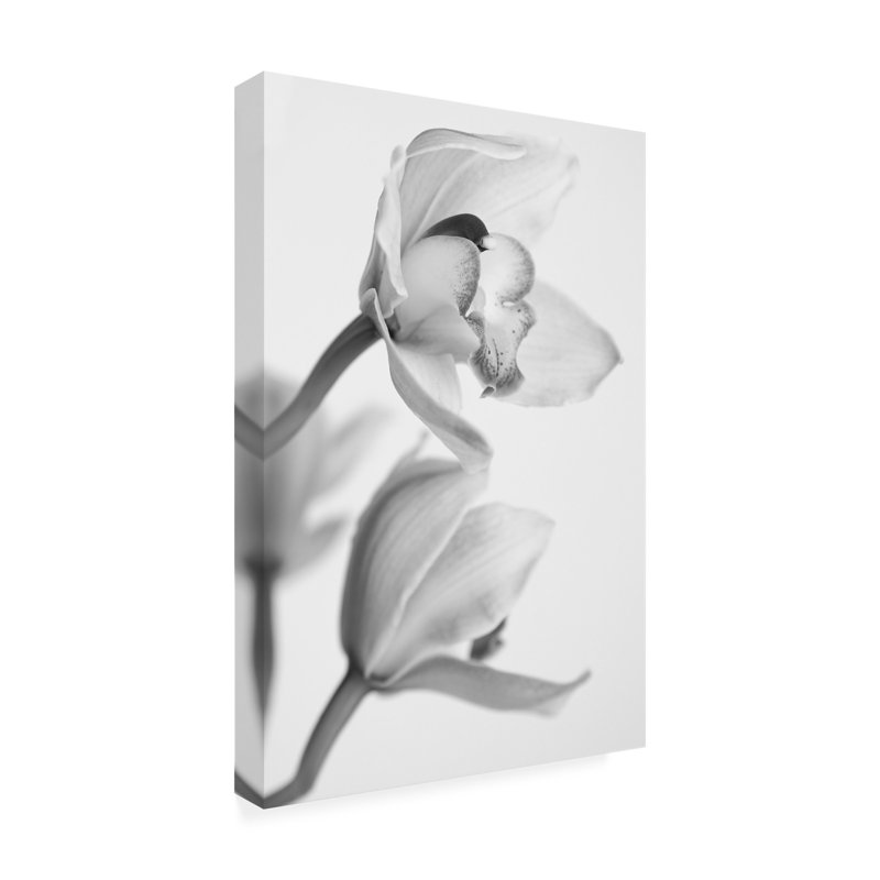 Modern & Contemporary, 19" H x 12" W x 2" D