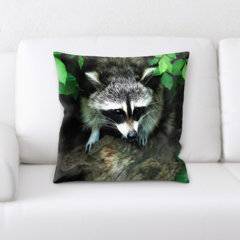 Coussin raton laveur