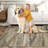 5x7 Abstract Rug Large Living Room Rugs Neutral Modern Washable Area Rugs for Bedroom Dining Room Non-Slip Stain Resistant Foldable Thin Rug-974854924