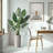 Artificial Tree In Planter, Fake Bird of Paradise Silk Tree Home Decoration (Plant Pot Plus Tree)-338543038-353484230