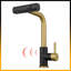 Robinet de cuisine commercial monotrou Modern-113856473-113856474