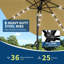 Parasol-129445690
