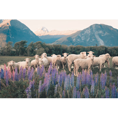 Flock of Sheep by Edwin Tan