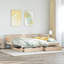 Wichita Solid Wood Daybed with Trundle-1993085643-1993085638