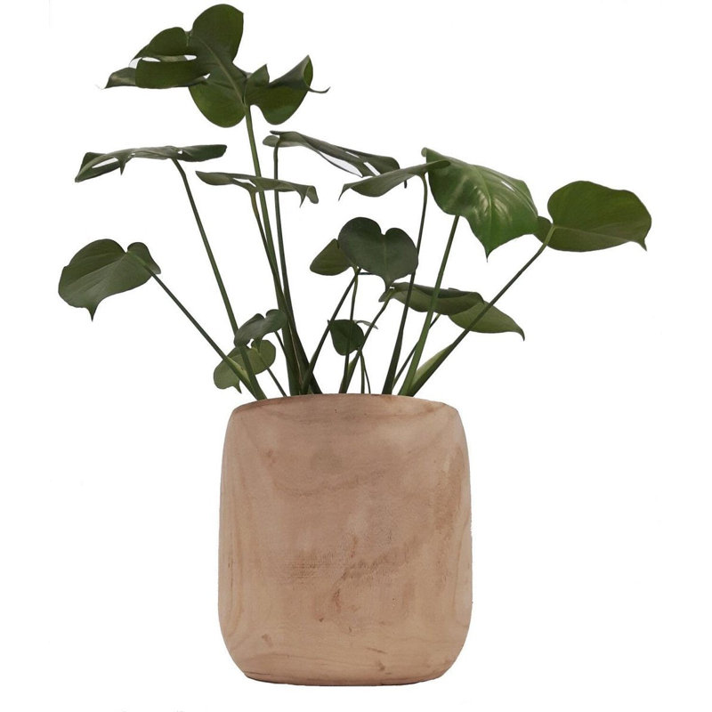Clove  Wood Planter, 31 cm H x 31 cm W x 31 cm D