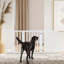 Liz Free Standing Pet Gate-1666448467