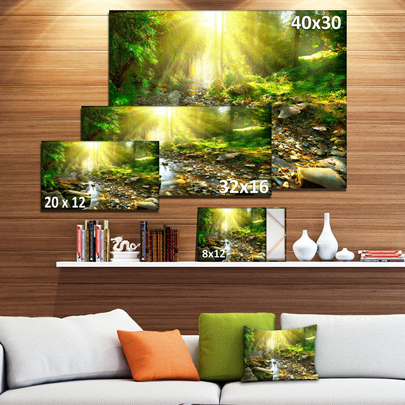 Mountain Stream in Forest Landscape Canvas Print