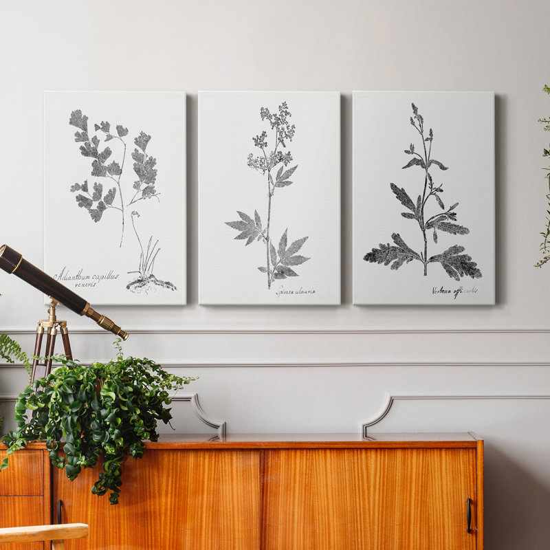Botanical Imprint I - Ensemble de 3 toiles tendues, H 60 po x l 120 po x P 1 po