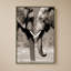 «Together is Better» par Danita Delimont - Impression sur toile-130764909-130764913