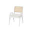 Upholstered Arm Chair