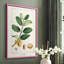 «Turpin Tropical Botanicals», reproduction encadrée en bois massif-1111365306-1111365309