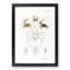 Crabs & Sea Creatures PL. 8 by J.E. De Kay - Framed Print-55621197-55621198