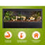 Grand terrarium Deneishia-101483204-52916583