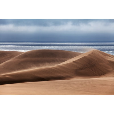 Desert Storm 1 Piece Wrapped Canvas Wall Art