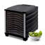 BioChef Arizona 800W Food Dehydrator-69114079