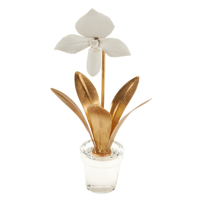 Lady Slipper Orchid