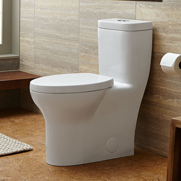 Equility Dual-Flush Elongated One-Piece Toilet (Seat Included)