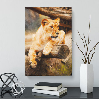 Lioness - Wrapped Canvas Print