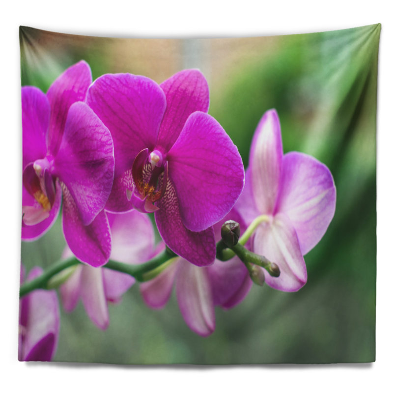 Tapisserie florale avec de belles fleurs d'orchidées, H 32 po x l 39 po