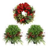 22" Holiday Wreath with Two UV Rated Boxwood Drop-Ins