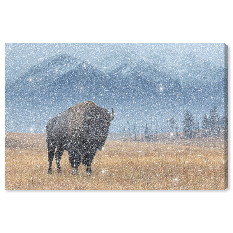 Mountain Bison I Print by Oliver Gal, 16" H x 24" W, Gallery Wrapped