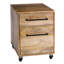 Colvin 2-Drawers Mobile Vertical File