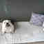 Photos des clients 1 de 1