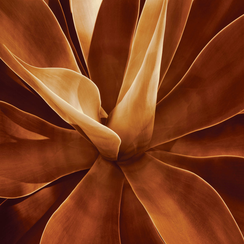 " Santa Fe II " by Caroline Kelly, 12" H x 12" W