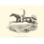 Art sur toile tendue Astoria Grand-733490538