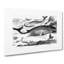 Assortment of Whales by John Karst - Wrapped Canvas-55304318