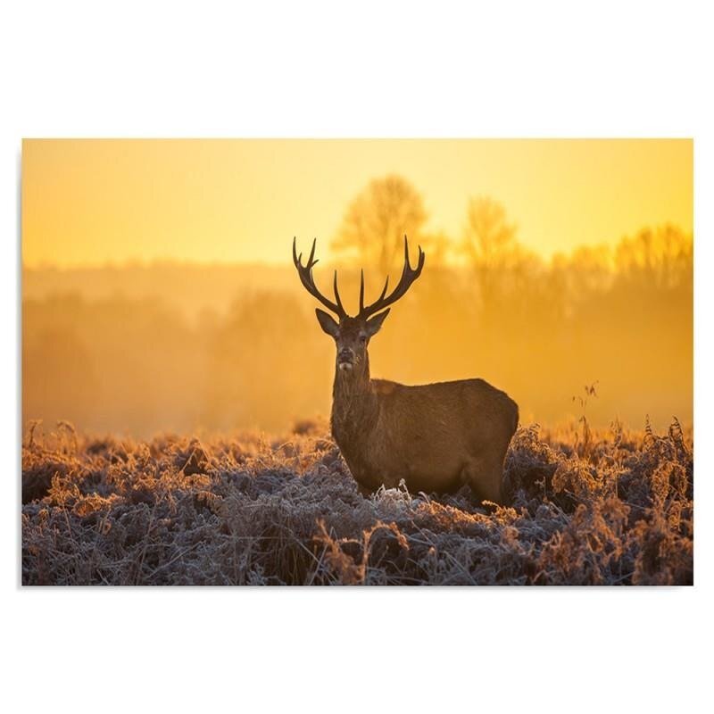 Leinwandbild Deer Sunset 2